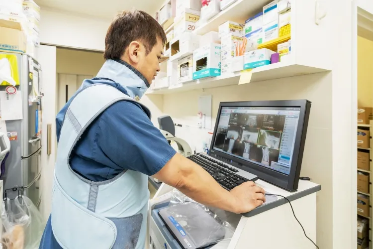 初診の診査診断と飼い主さんの意思決定を尊重した治療の立案