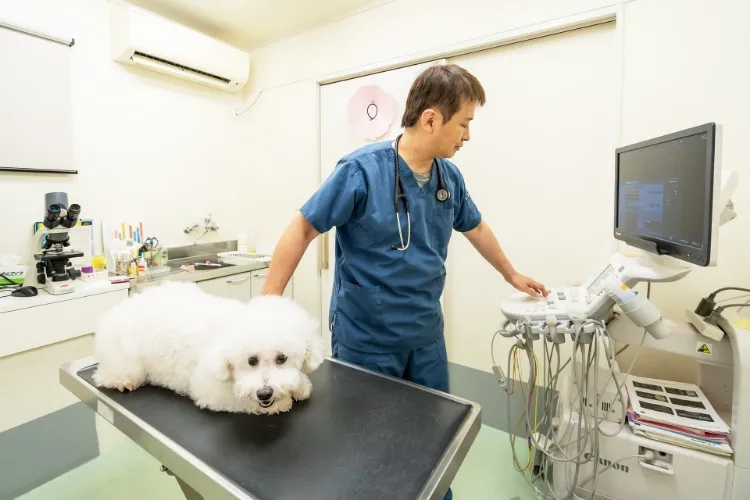 院長のお人柄と院長含めて4人のドクターが在籍