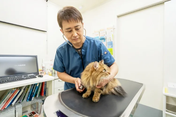 予防と早期発見