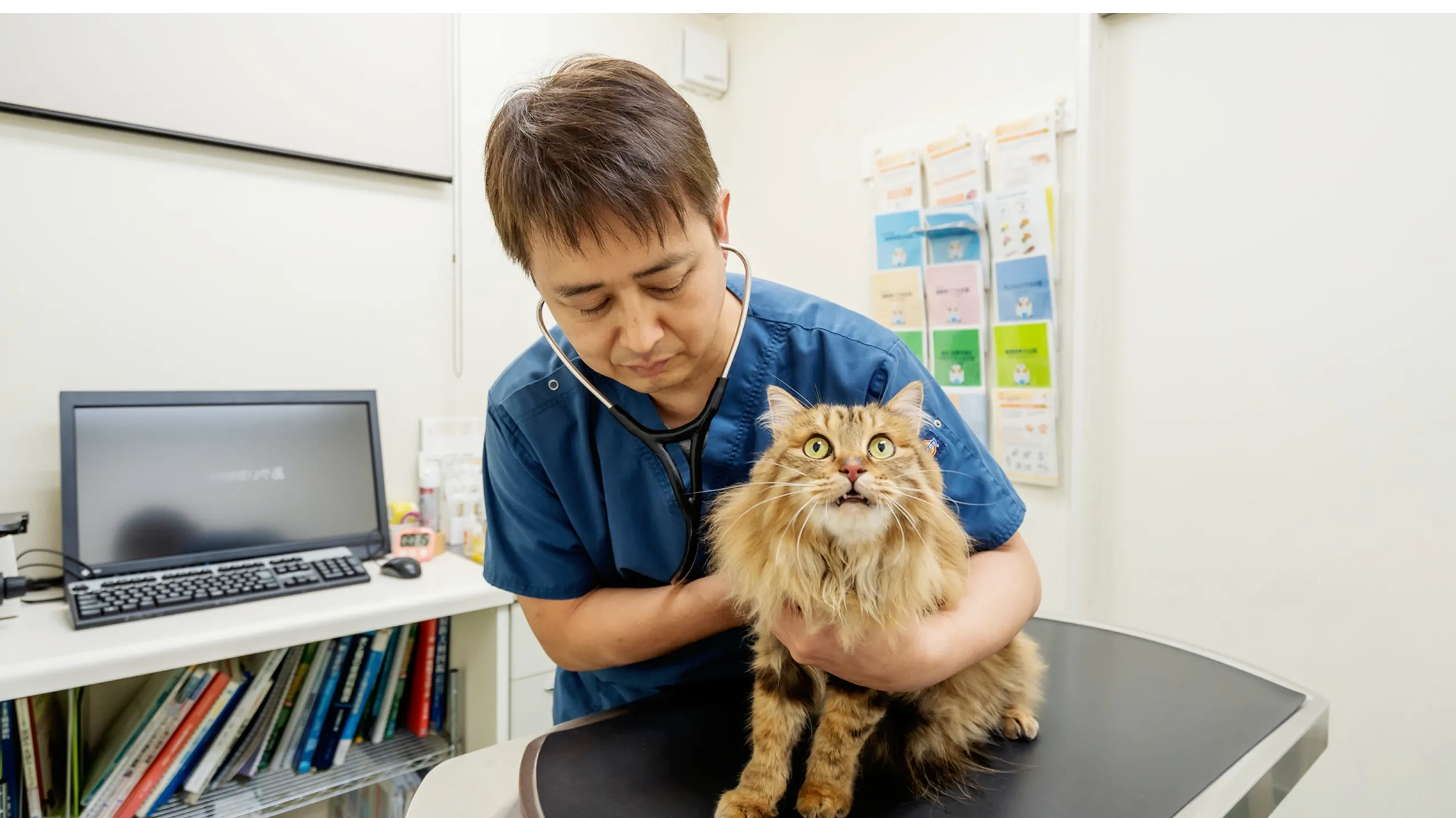 あやい動物病院