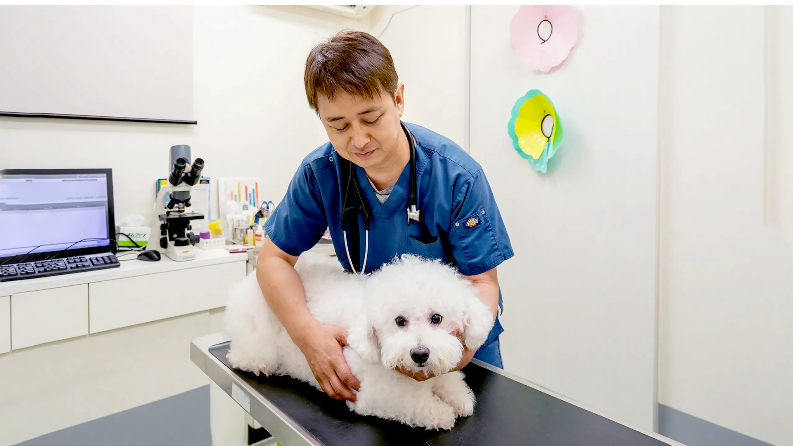 あやい動物病院