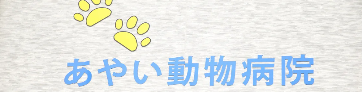 当院について
