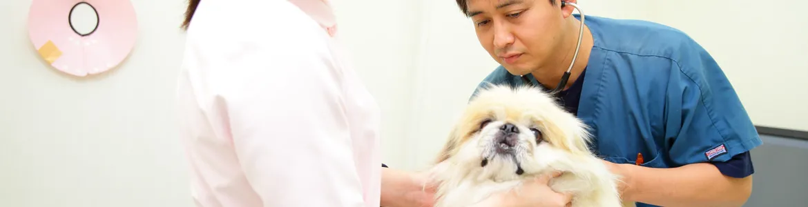 ワクチン接種について